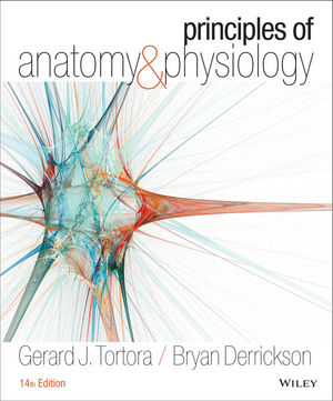 Test Bank for Principles of Anatomy and Physiology 14th Edition by Gerard J. Tortora