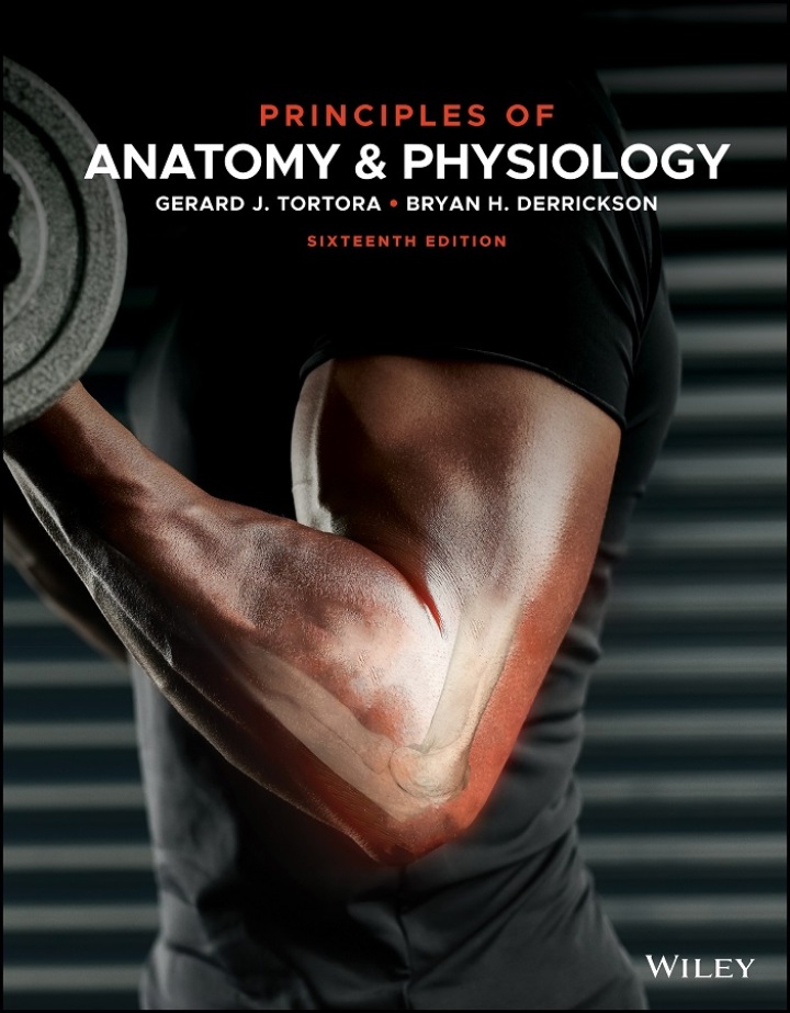 Test Bank for Principles of Anatomy and Physiology, 16e Tortora