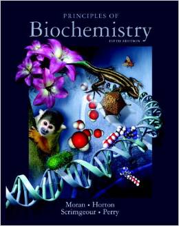 Test Bank for Principles of Biochemistry 5th Edition by Moran Horton