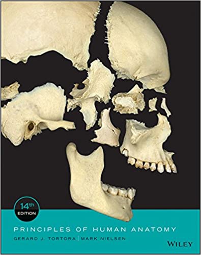 Test Bank for Principles of Human Anatomy 14th Edition 14th Edition by Gerard J. Tortora