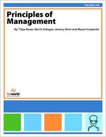 Test Bank for Principles of Management v. 3.0 by Berrin Erdogan