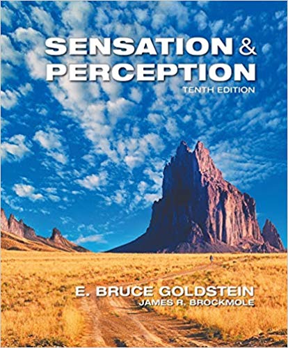 Test Bank for Sensation and Perception 10th Edition by E. Bruce Goldstein