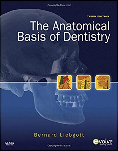 Test Bank for The Anatomical Basis of Dentistry 3rd Edition by Bernard Liebgott