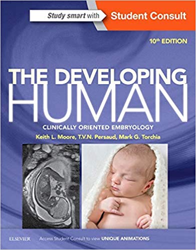 Test Bank for The Developing Human Clinically Oriented Embryology 10th Edition by Keith L. Moore