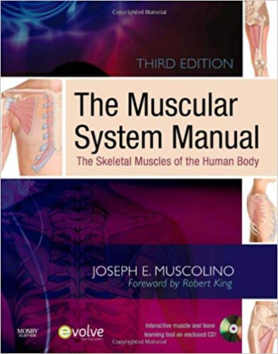 Test Bank for The Muscular System Manual The Skeletal Muscles of the Human Body 3rd Edition by Joseph E. Muscolino