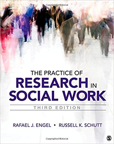 Test Bank for The Practice of Research in Social Work 3rd Edition by Rafael J. Engel