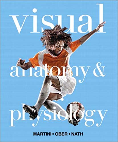 Test Bank for Visual Anatomy and Physiology 1st Edition by Frederic H. Martini