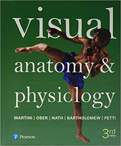 Test Bank for Visual Anatomy and Physiology 3rd Edition by Frederic H. Martini