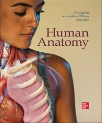 Solution Manual For Human Anatomy 7th Edition by Michael McKinley